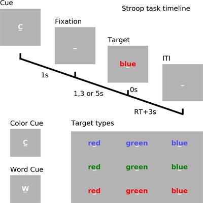 Compensatory Neural Responses to Cognitive Fatigue in Young and Older Adults